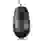 Мышь проводная S31 (USB, 800 dpi, оптическая, 3 кнопки) У