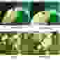 Объектив для смартфонов FD-11/100